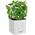 Cube Color