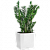 Cube