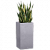 Canto Stone High