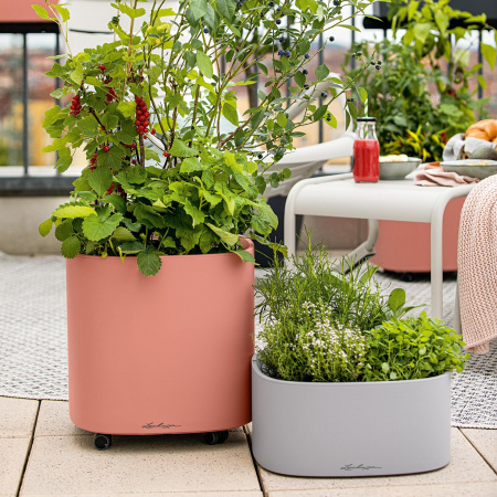 Кашпо Lechuza Pila Color Planter 35 Бежевый