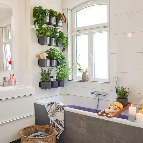 Кашпо Lechuza​ Green Wall Home Kit Glossy Красный