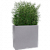 Canto Stone Wide