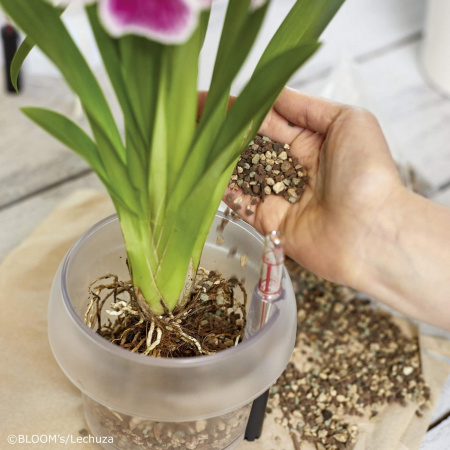 Субстрат LECHUZA ORCHIDPON 3 L